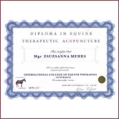 Euine Therapeutic Acupuncture