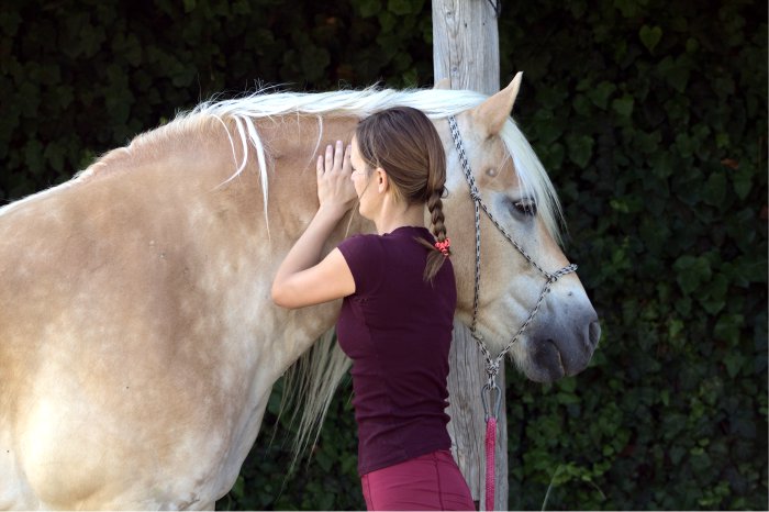 Dornova terapia koni - HORSE-REHAB