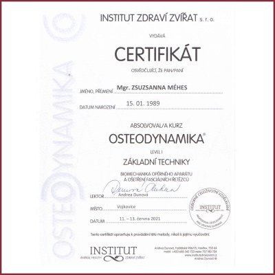 Certifikát - OSTEODYNAMIKA