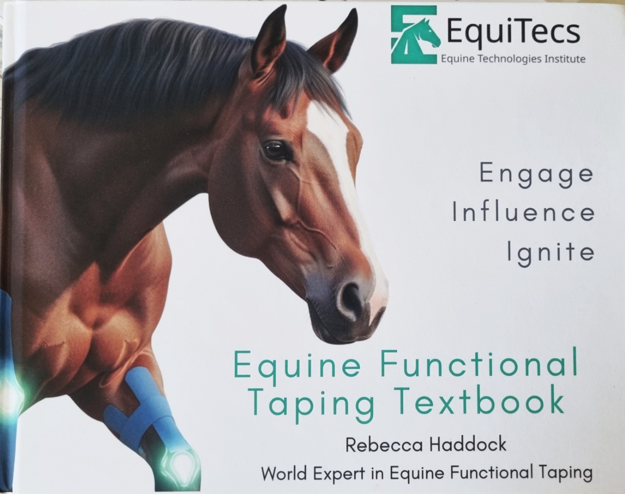 Učebnica Equine Functional Taping Textbook